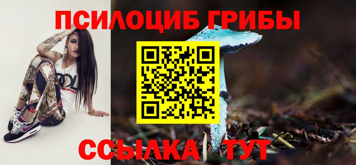 Белебей  Галлюциногенные грибы прущие грибы  Вход с VPN 