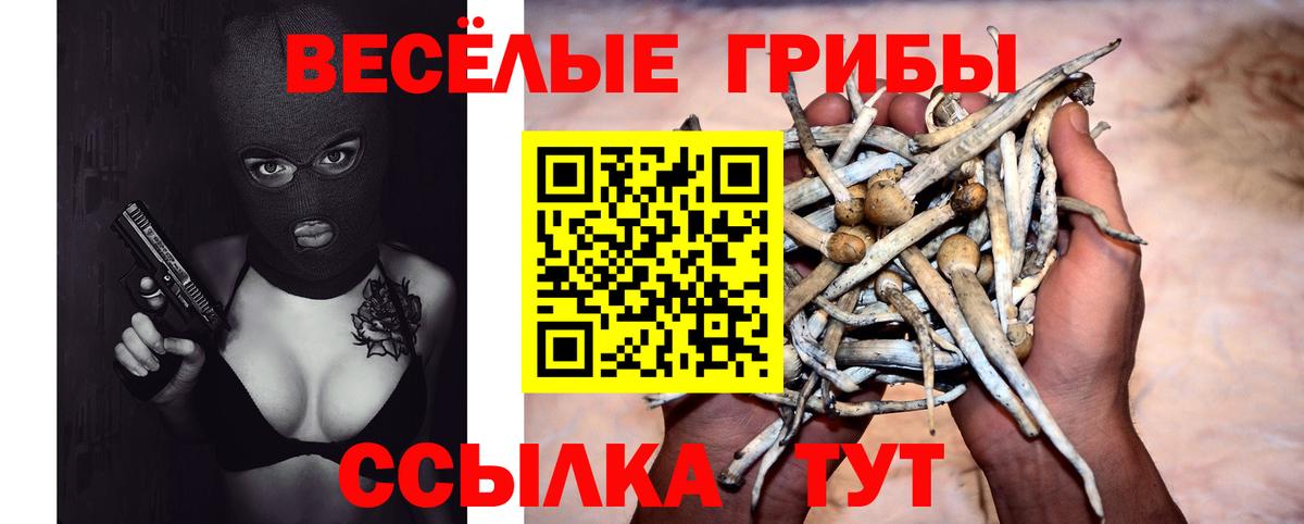 Галлюциногенные грибы MAGIC MUSHROOMS Белебей